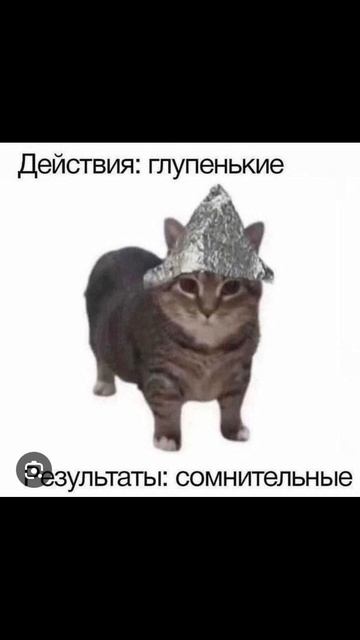 моямоя первая озвучка  мемов