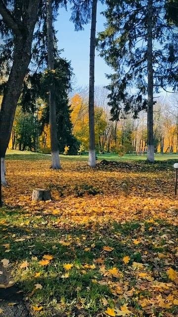 Усадьба Худекова в преддверии Покрова
