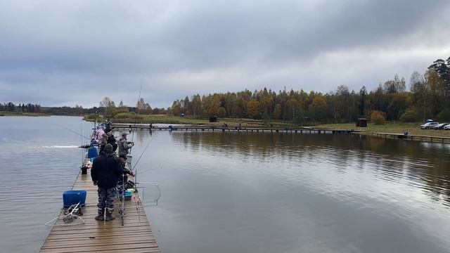 Добавляем форель в водоем