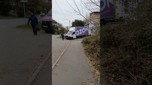 Миасс. Летит снег.