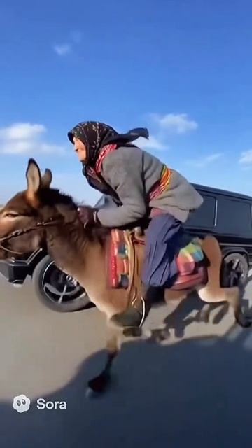 Супер Бабка