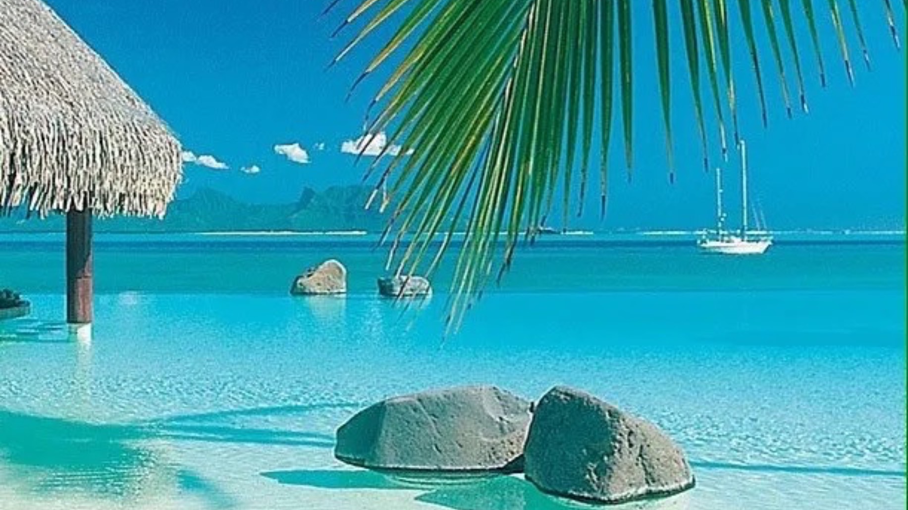 Koop Island Blues