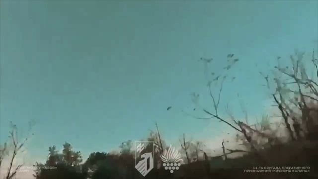 Кадры от украинских военных из района Покровска.