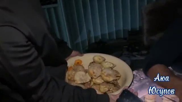 Шохимардон