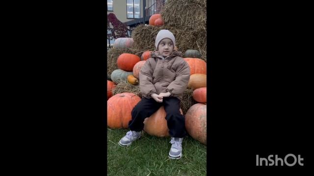 2_5431733220993434949.mp4