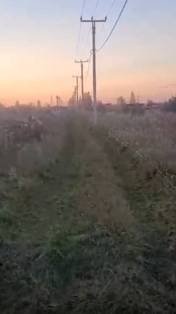WhatsApp Video 2025-09-24 At 21.50.56