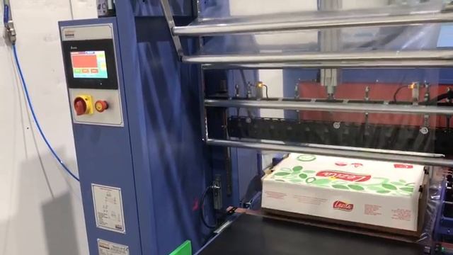 Машина для упаковки курицы в термоусадочную пленку