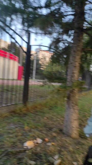 Прогулка 15.09.25