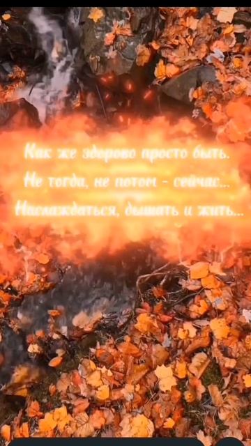 Осень, красота, хорошего настроения!