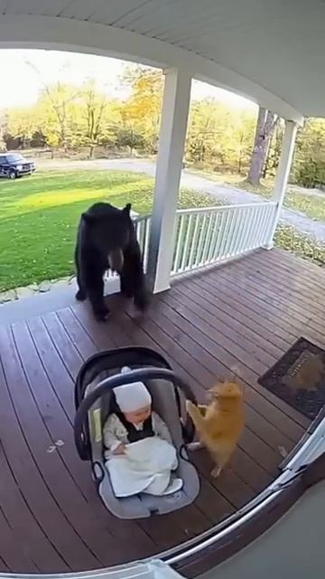 Секунда и он бы его сожрал №2