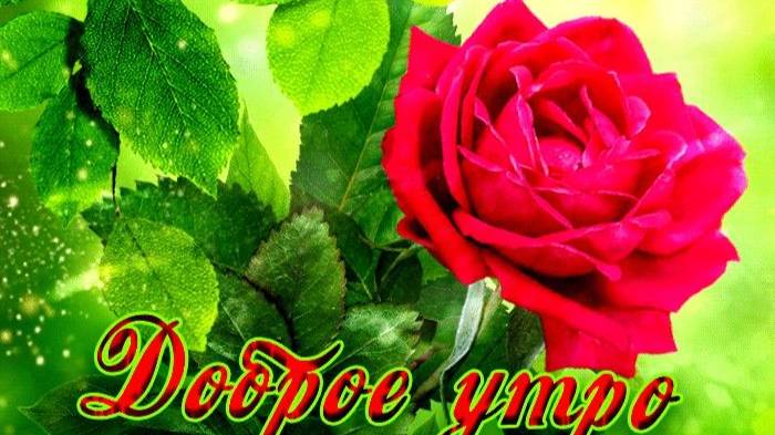 ДОБРОЕ УТРО! КАК ПРЕКРАСЕН ЭТОТ МИР!