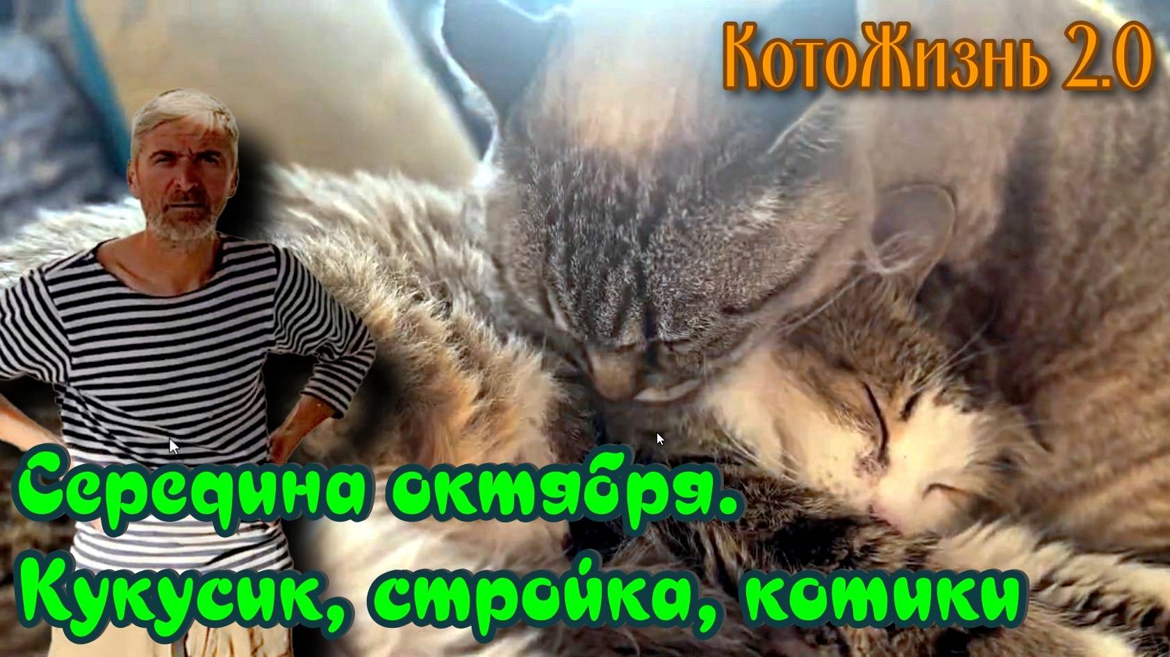 Середина октября. Кукусик, стройка, котики