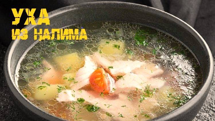 Уха из налима просто и вкусно