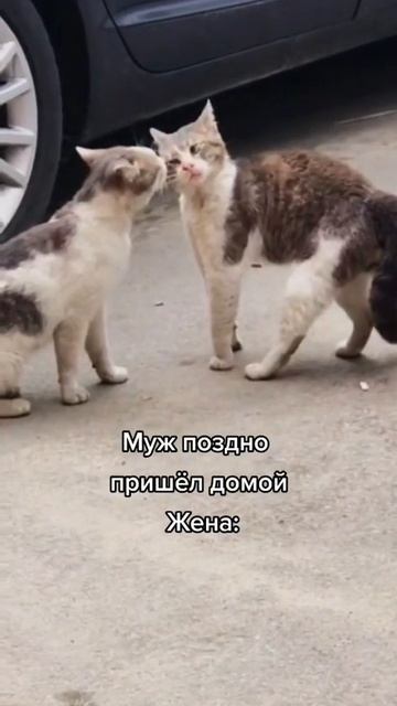 IMG_9639.MP4