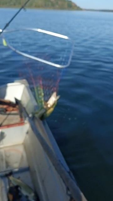 Щука на силикон