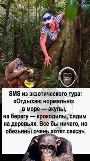 Экзотический тур )