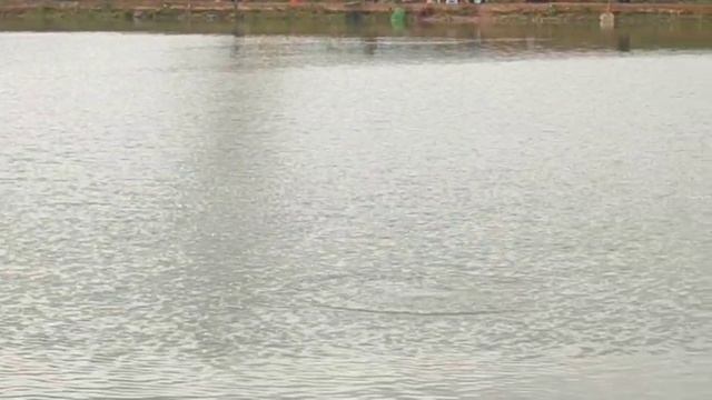 WhatsApp Video 2025-10-12 at 09.56.35