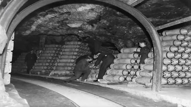 Is the Government Hiding Reptilian Hybrids in Underground Bases?