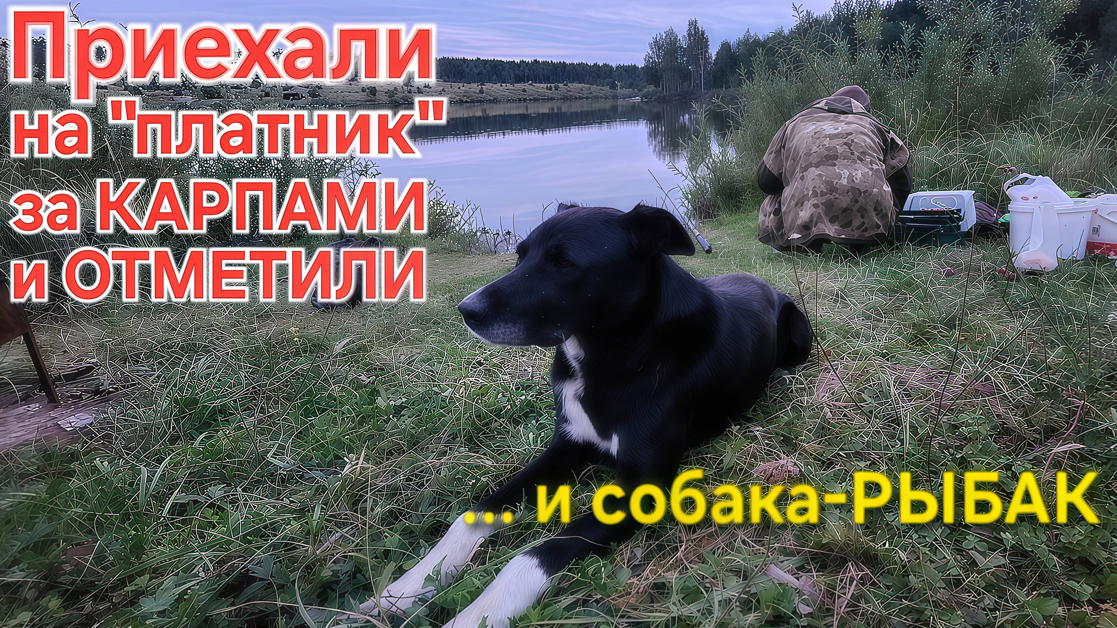 🔥Приехали за Карпами на 