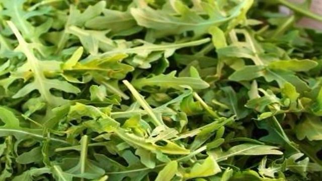 Салат с тунцом и рукколой