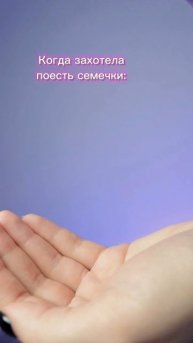 А ваши питомцы у вас воруют еду?