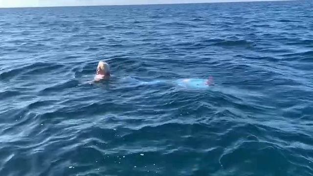 Русалки на рыбалке.