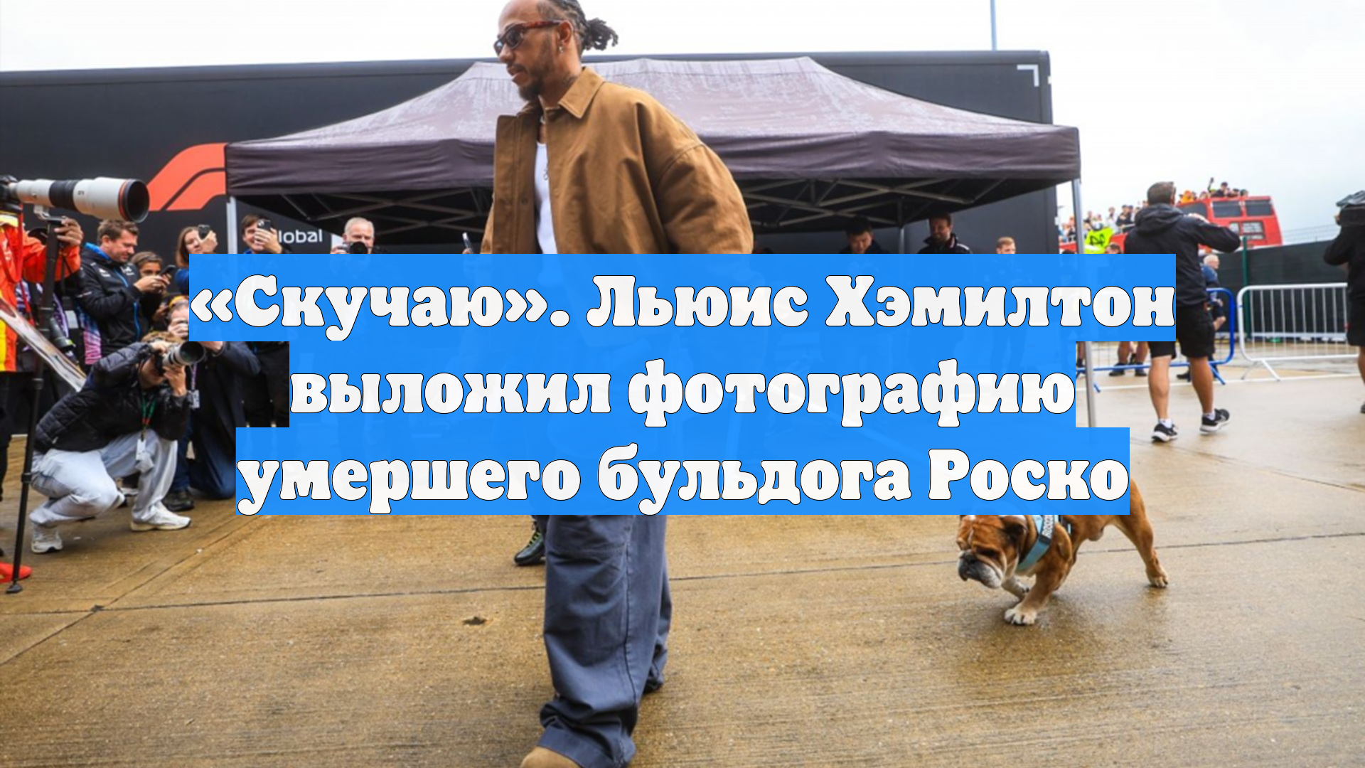 «Скучаю». Льюис Хэмилтон выложил фотографию умершего бульдога Роско