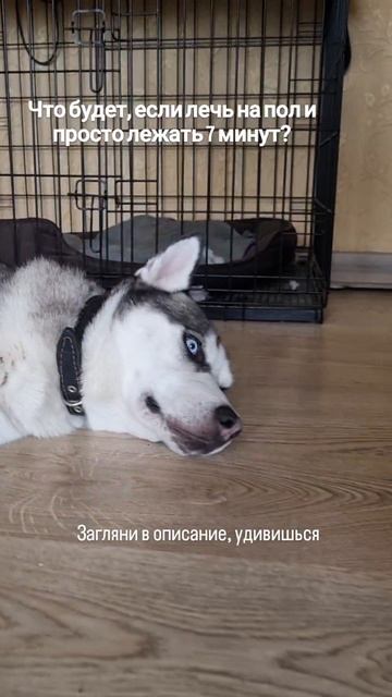 Практика 7 минут на полу