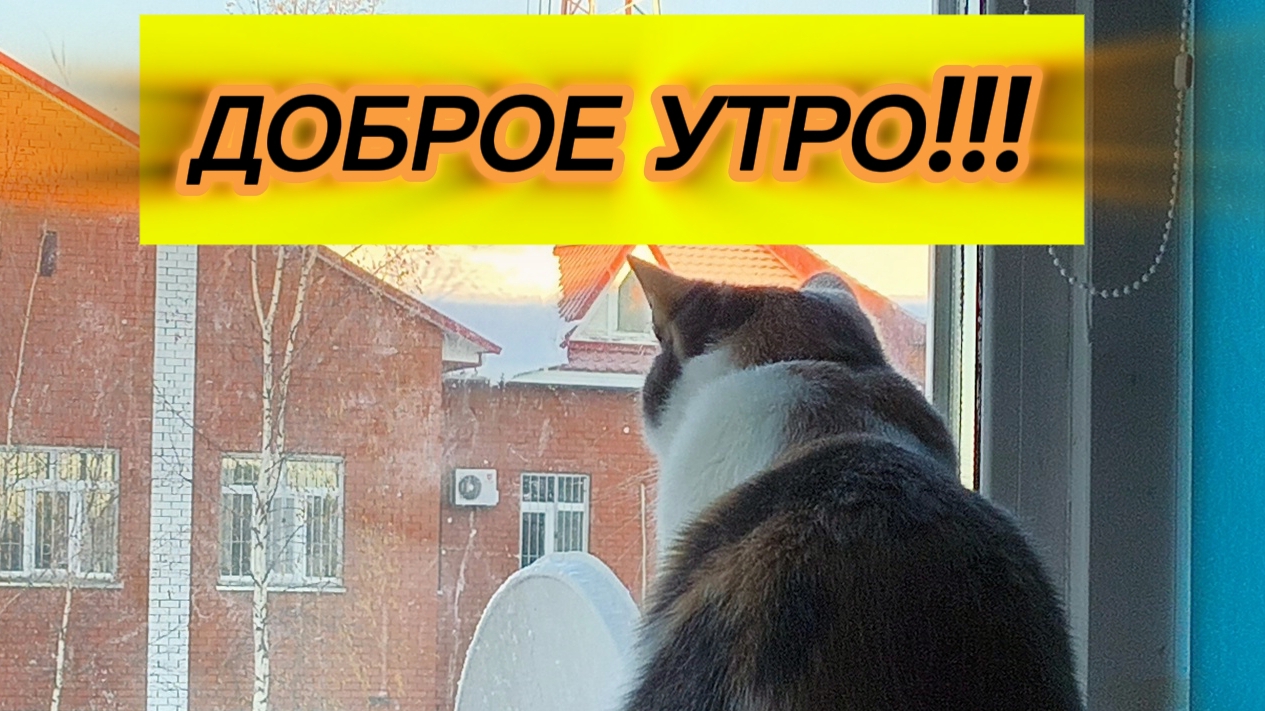 Доброе утро!!! Мои хорошие 😘