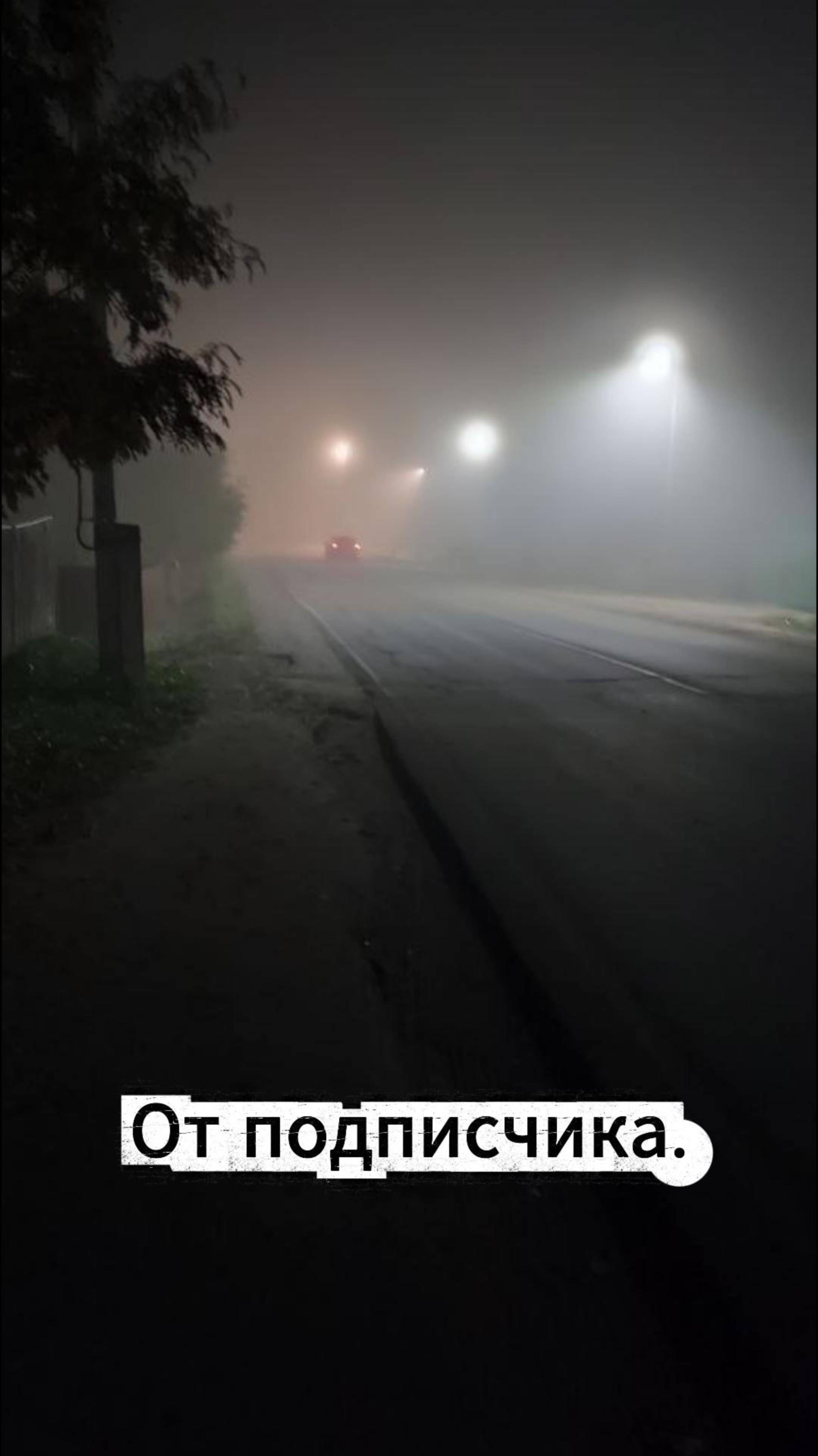 Золотая осень. От подписчика.