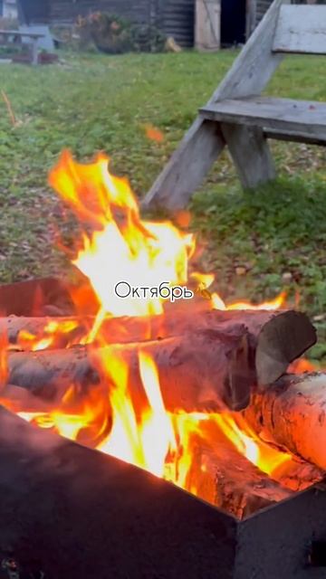 Волшебная осень осень октябрь дача домвдеревне
