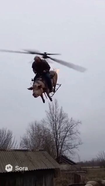 1000147266.mp4