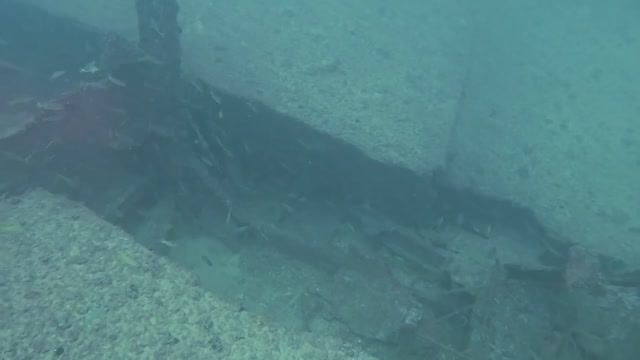 дайвинг в Дубае, Эмираты, дайв сайт Neptune