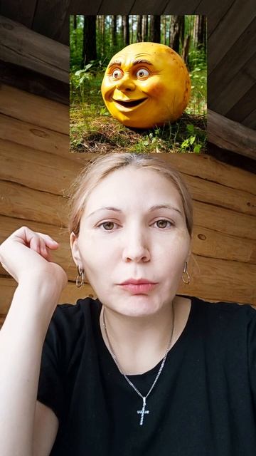 Ирина Габба Литканал