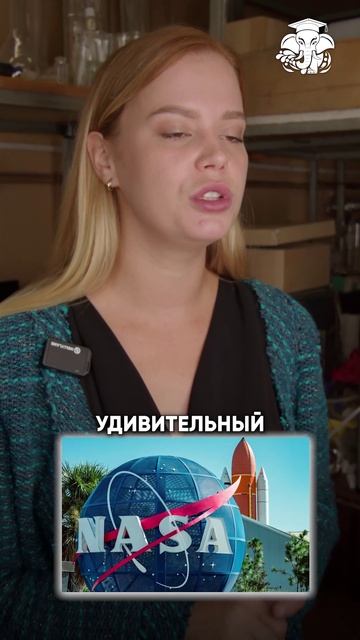 Как твой цветок спасает тебе жизнь