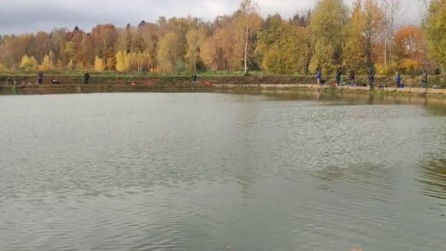 WhatsApp Video 2025-10-12 At 09.53.06