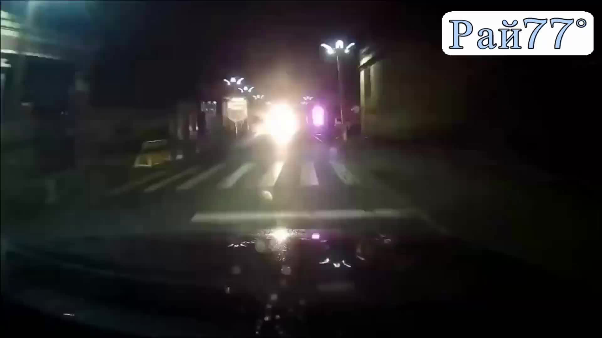 Парнокопытные бесстыдники