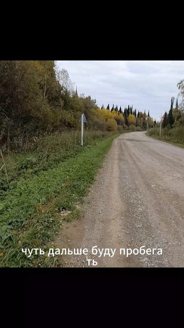 «Запретная зона»