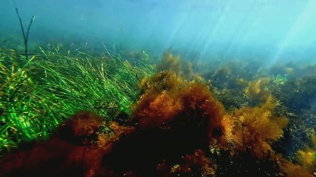 п. Южно-Морской. 12.10.25 г.  Октябрь   4K 
