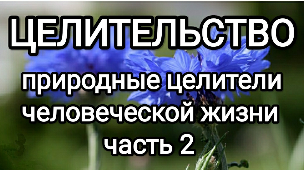 Природные целители человесеской жизни! #макарий