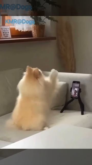 ЮМОР