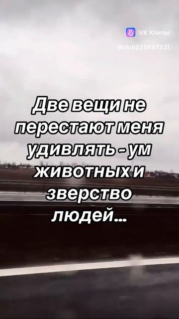 1000002505.mp4