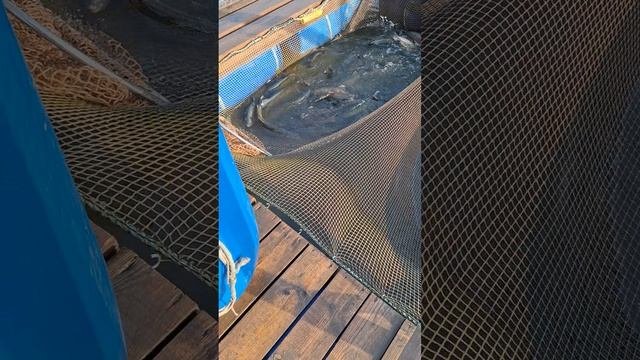 1000564276.mp4