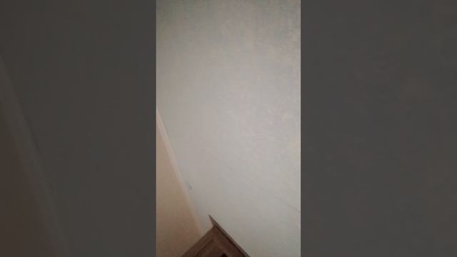 1000000771.mp4