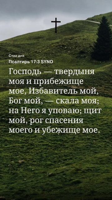 #Слово на 12.10 #библия #псалом