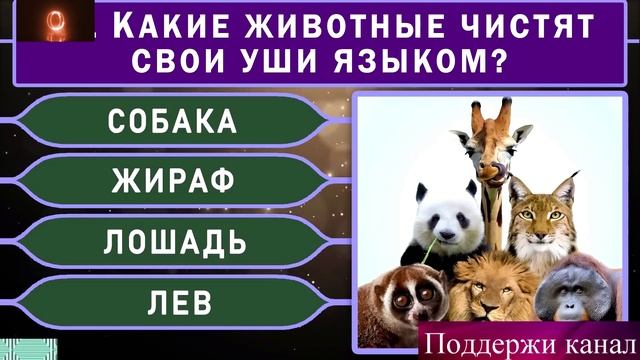 ТЕСТ НА ОБЩИЕ ЗНАНЕИЯ