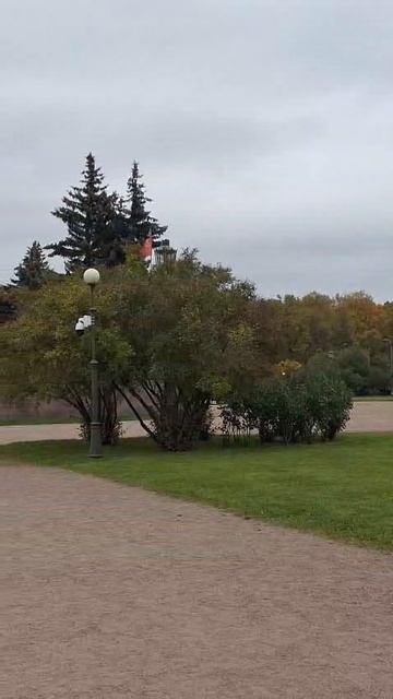 Санк-Петербург#Марсовое поле# культура