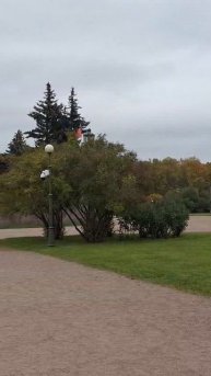 Санк-Петербург#Марсовое поле# культура