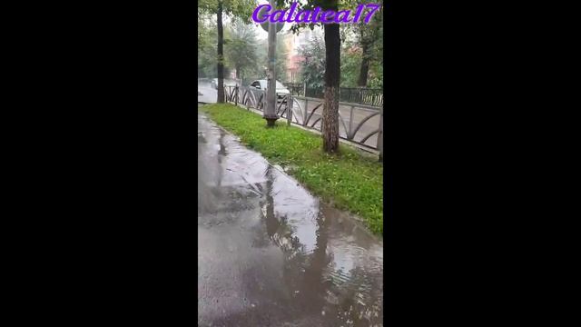 ТРОПИЧЕСКИЙ ДОЖДЬ ЛЕТОМ  НЕБЫВАЛО СИЛЬНЫЙ ЛИВЕНЬ