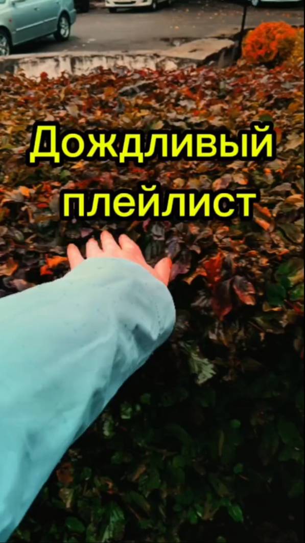 Дождливый плейлист